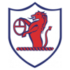 https://img.hyjhua.com/img/football/team/11fb72f7b5eacfc881ee11bac75871fa.png