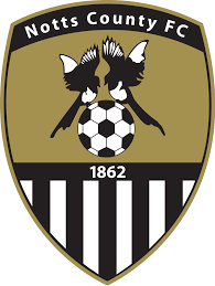 https://img.hyjhua.com/img/football/team/9e230c89a846b9cadf91884918fa7611.png